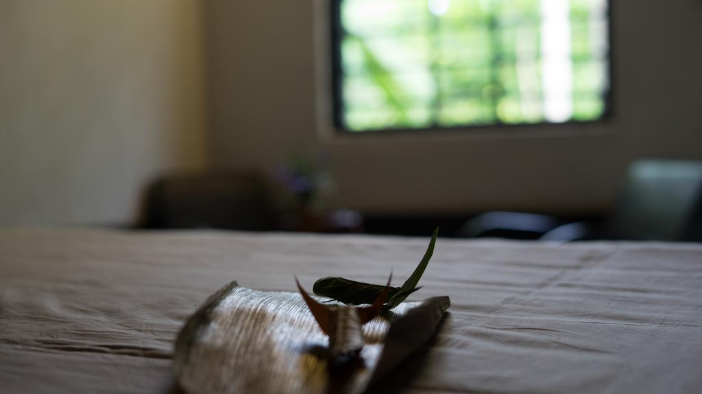 Thuy Bieu Homestay Hue Zewnętrze zdjęcie