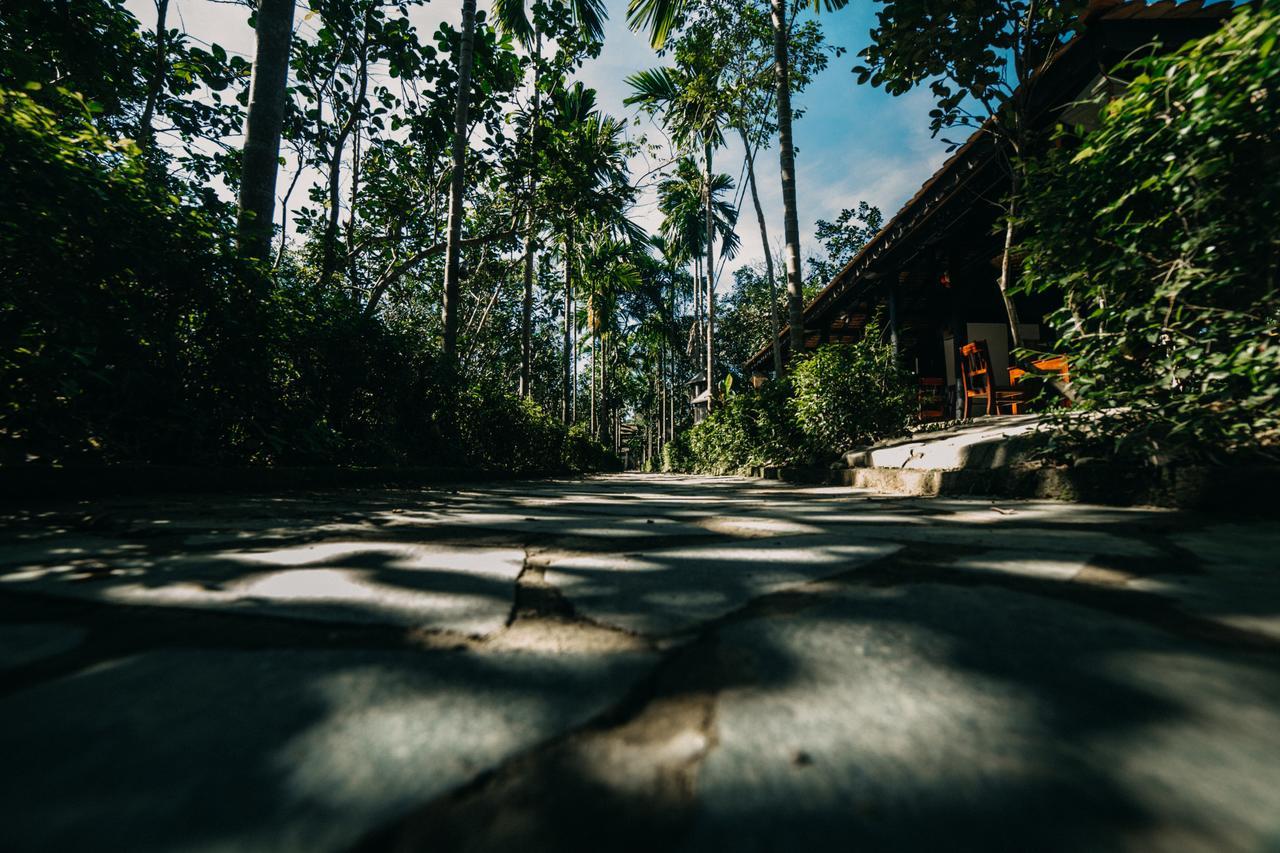 Thuy Bieu Homestay Hue Pokój zdjęcie
