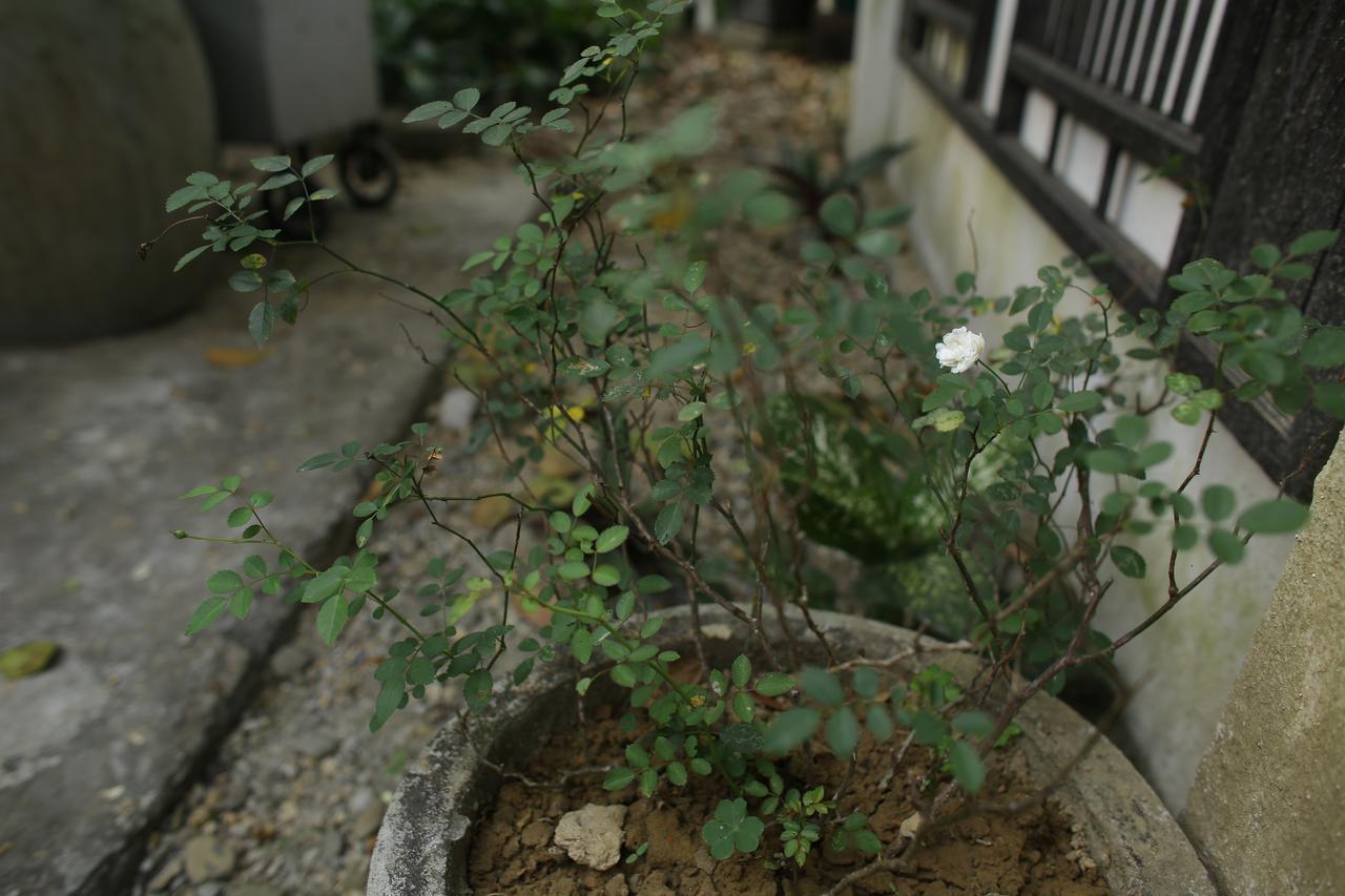 Thuy Bieu Homestay Hue Zewnętrze zdjęcie