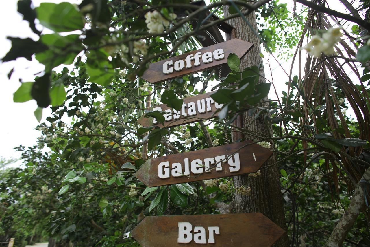 Thuy Bieu Homestay Hue Zewnętrze zdjęcie