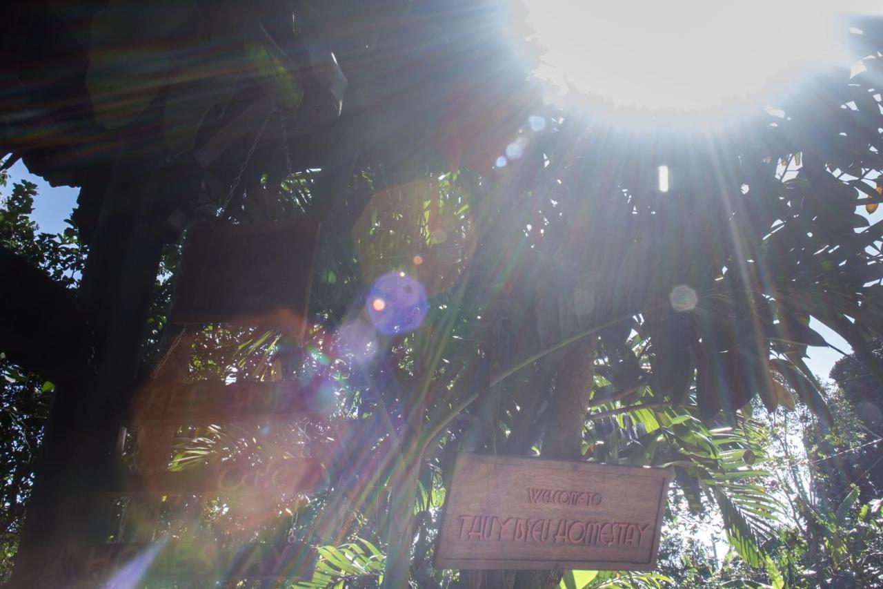 Thuy Bieu Homestay Hue Pokój zdjęcie